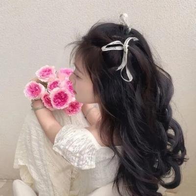 浪客扳手侠