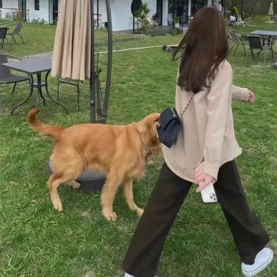 幻影枕边书